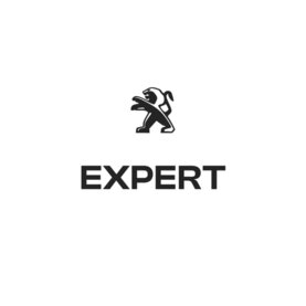 Expert